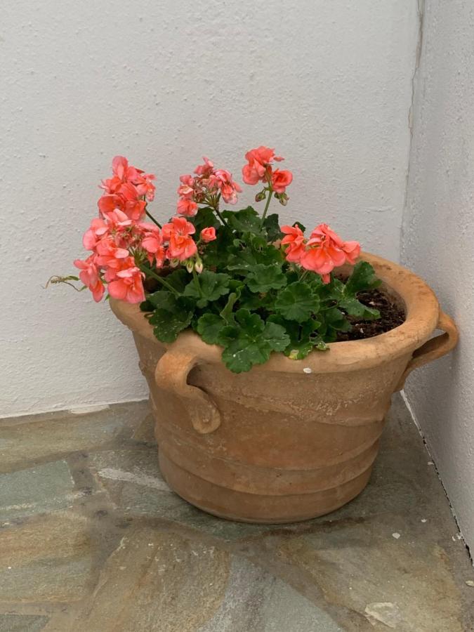 ピソ ・リバディ Irene'S Houseヴィラ エクステリア 写真