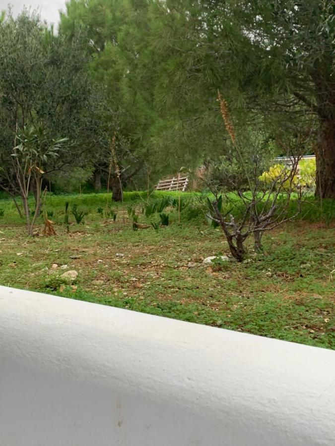 ピソ ・リバディ Irene'S Houseヴィラ エクステリア 写真